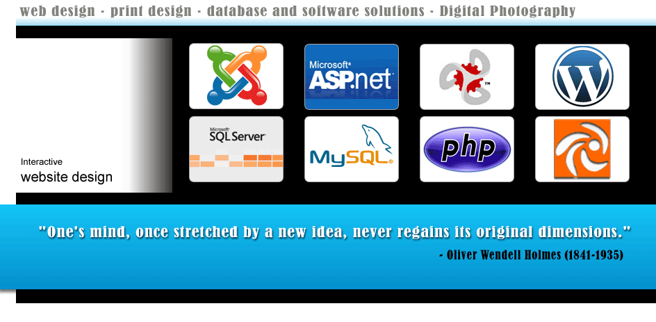 Interactive Website Design
